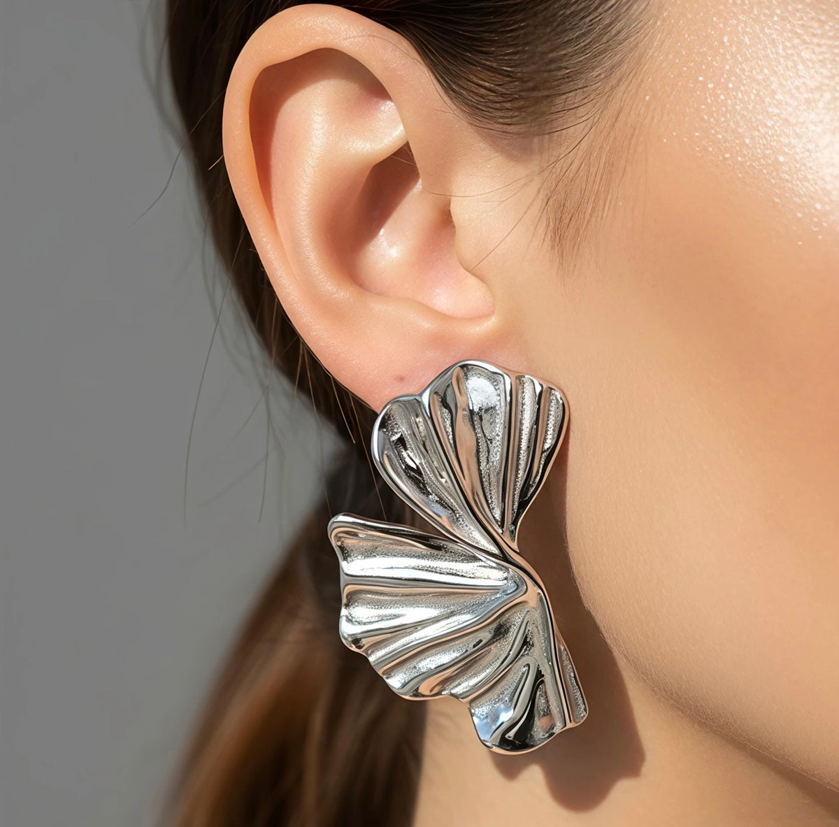 Boucles d’Oreilles Argentées