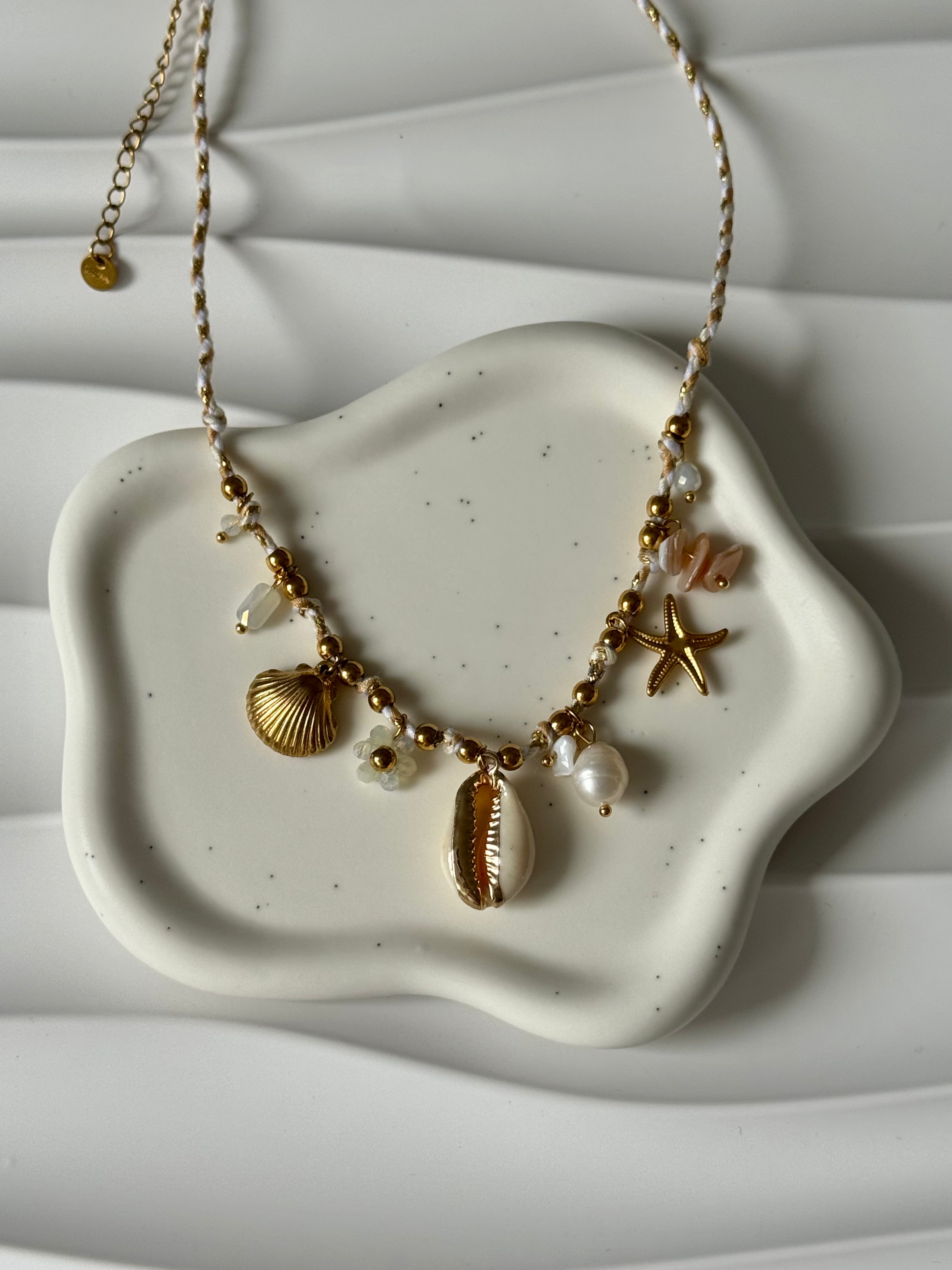 Collier Coquillage